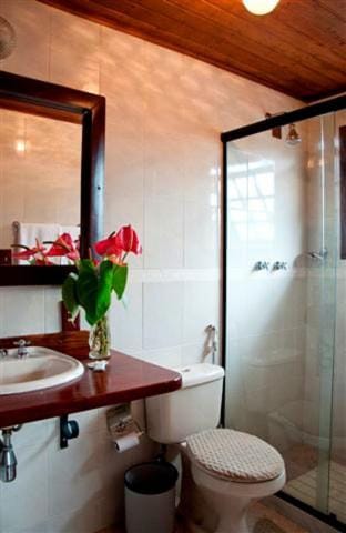 Pousada Vale das Hortensias Inn in State of Rio de Janeiro