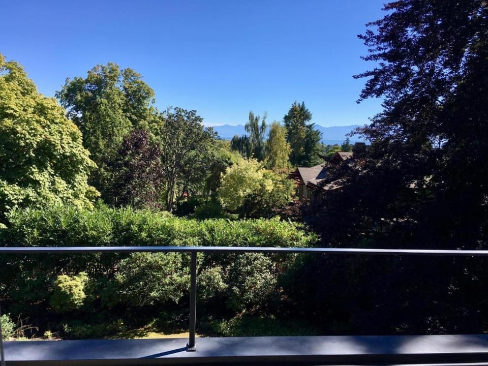 Toilet, View (from property/room)