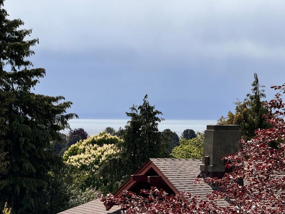 Landmark view
