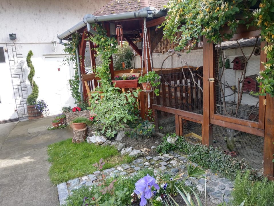 Apartment Harmonija apatin Apartment in Vojvodina