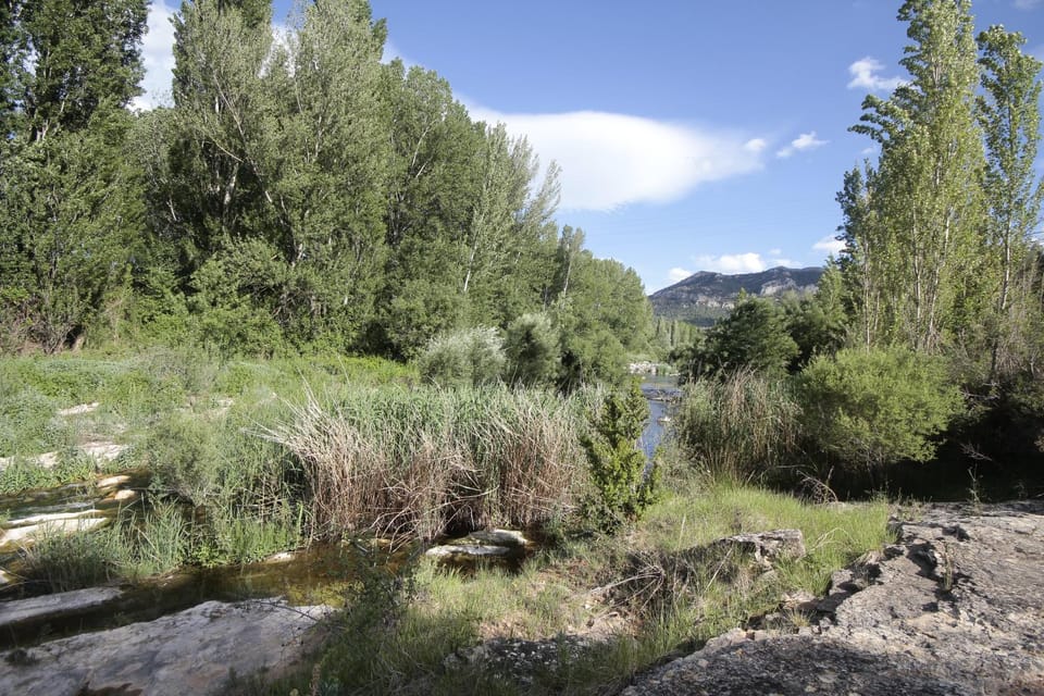 Natural landscape