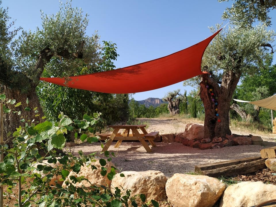 BBQ facilities