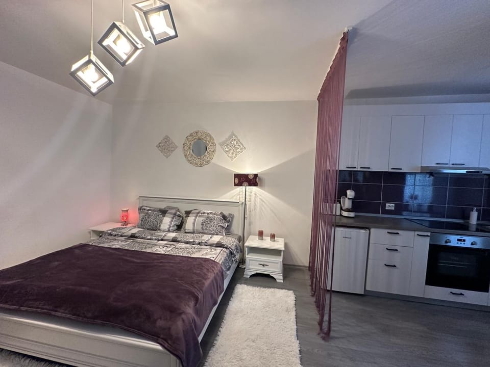 Etoile Studio Apartment in Brasov