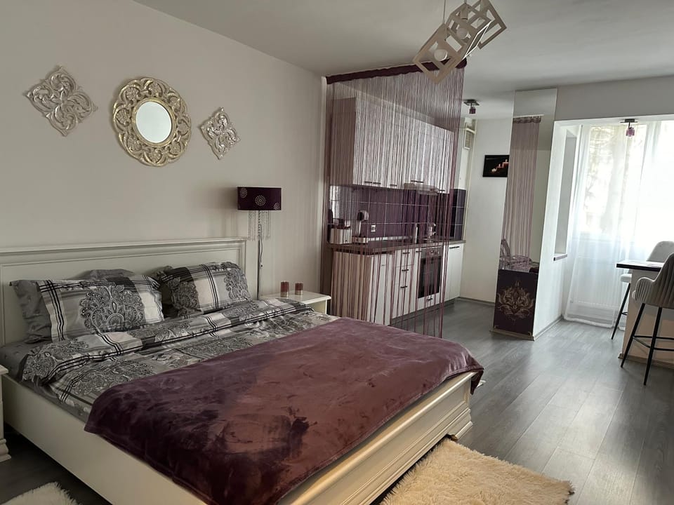 Etoile Studio Apartment in Brasov