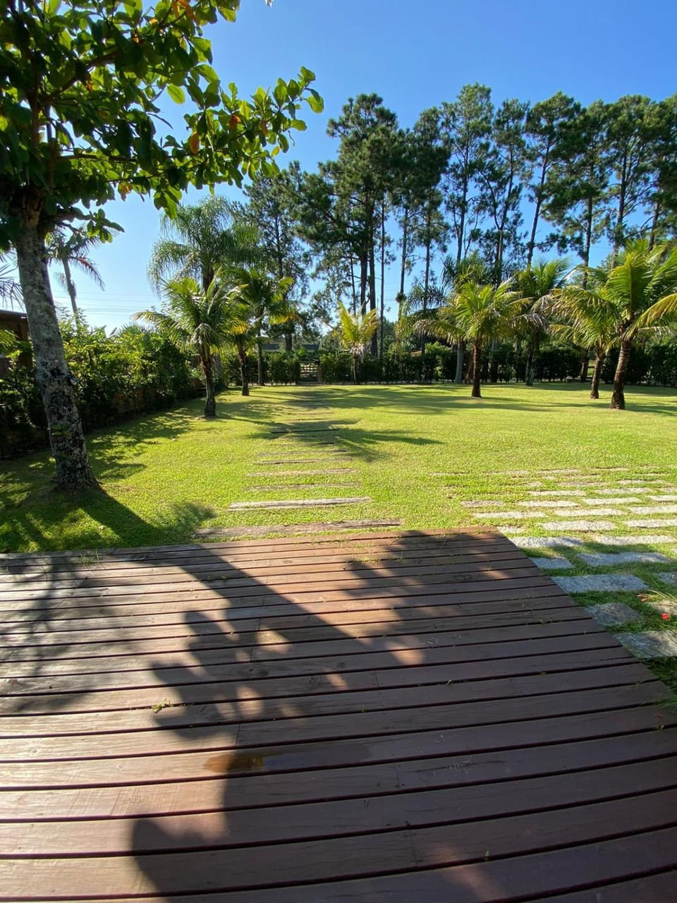 Garden, Inner courtyard view
