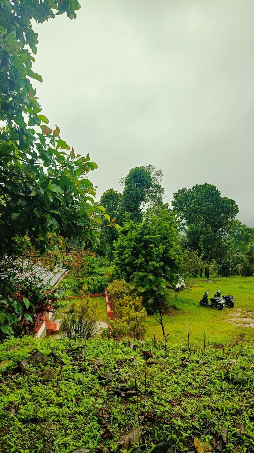 Garden view