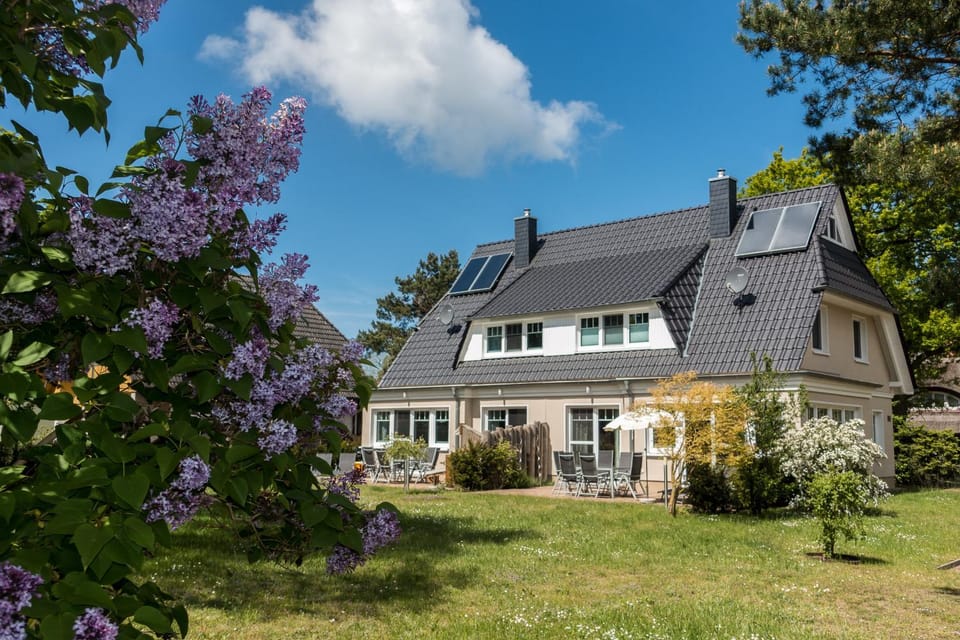 Property building, Garden