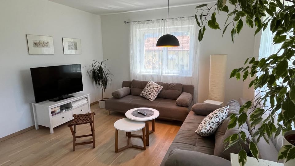 Wohlfühlapartments Steiner Apartment in Altmünster