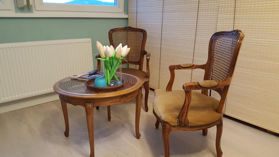 Widok na góry Apartment in Lower Silesian Voivodeship
