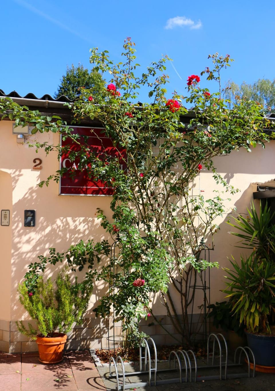 Property building, Patio