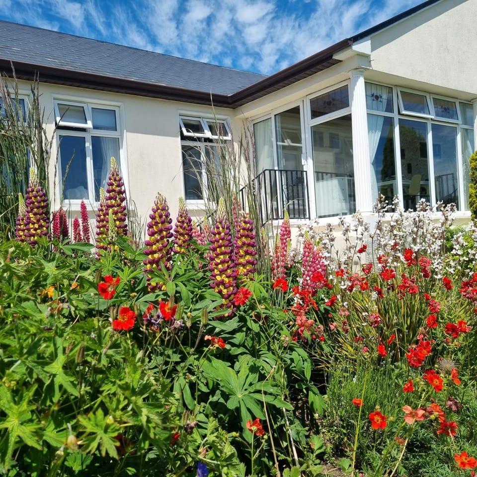 Rowanville Lodge Bed and Breakfast in County Sligo
