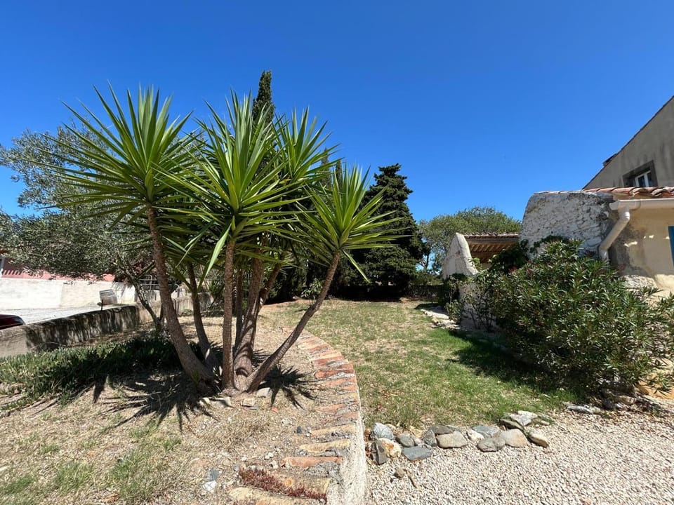 Domaine Les Salices House in Occitanie