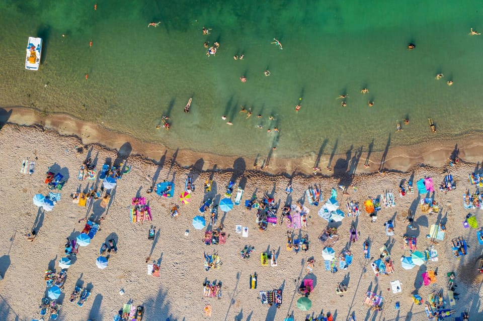 Beach, Animals