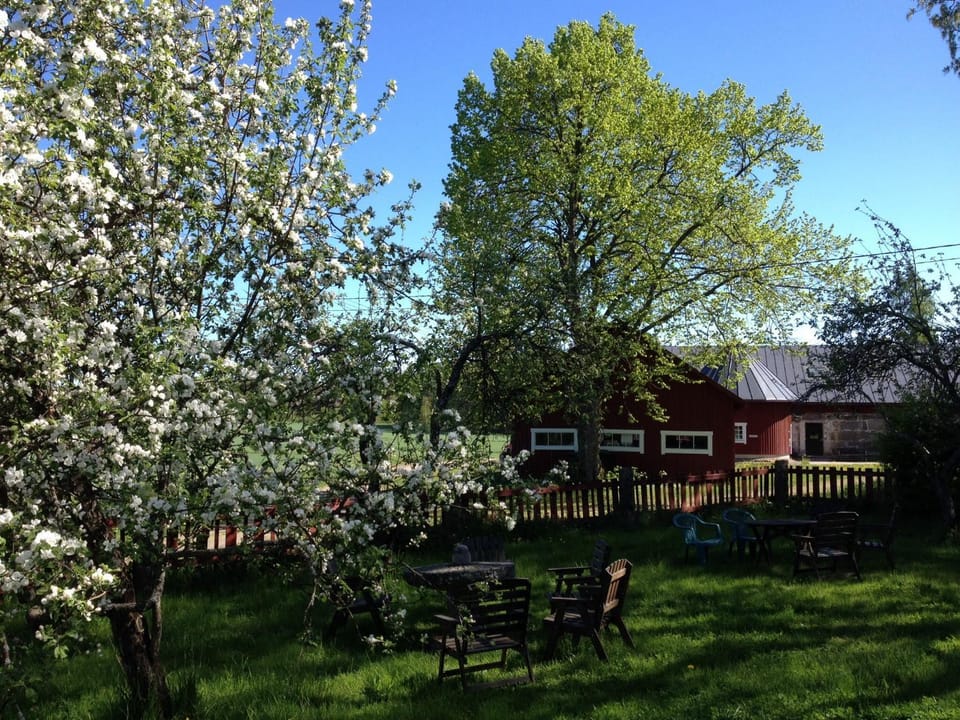 Garden, Garden view