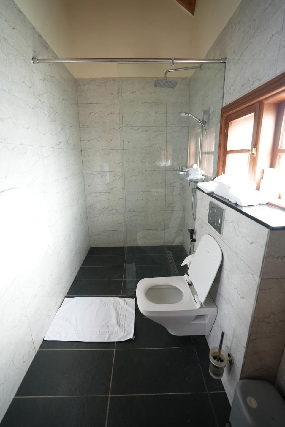 Toilet, Toilet
