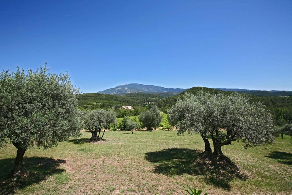 Natural landscape, Garden view
