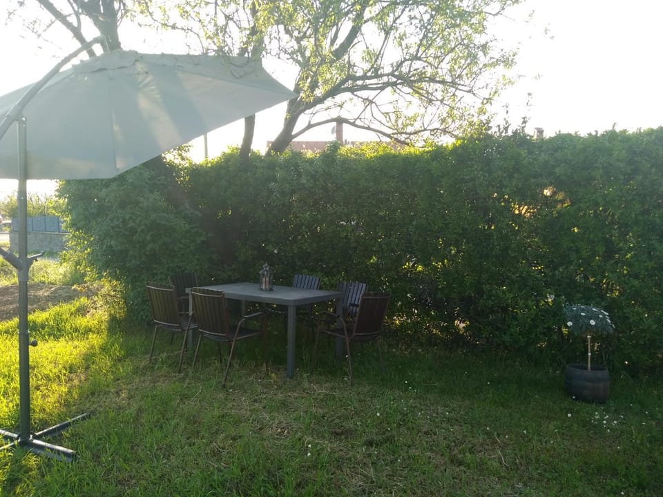 Istra Apartment in Slovenia