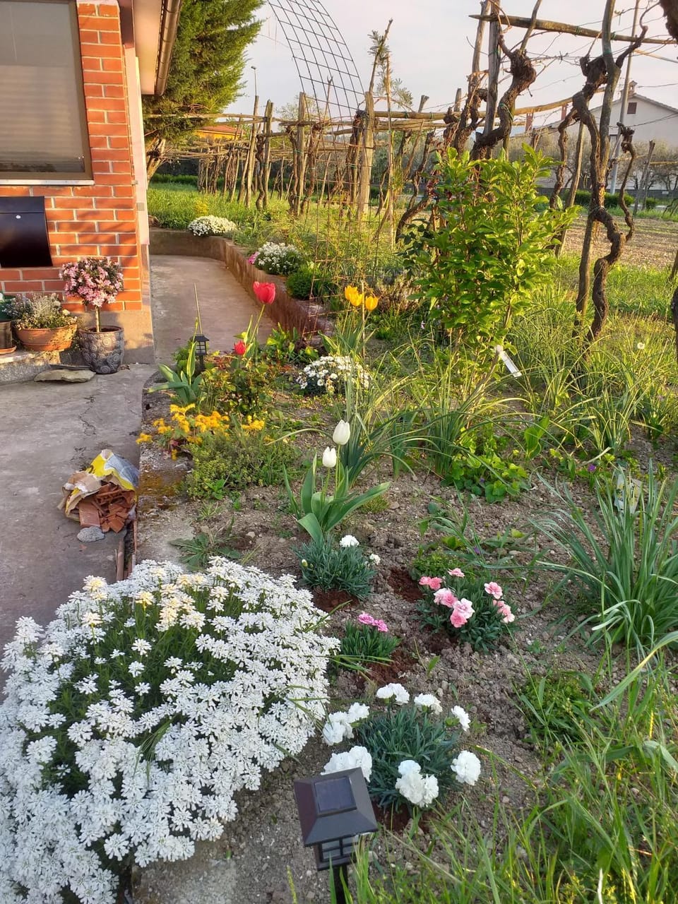 Istra Apartment in Slovenia