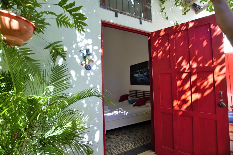 Staff, Communal lounge/ TV room, People, BBQ facilities, Garden, Balcony/Terrace, Lounge or bar, Animals, Communal kitchen, Pets, Family