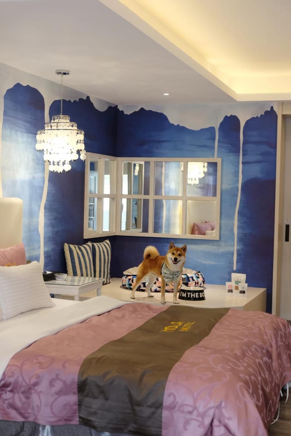 Photo of the whole room