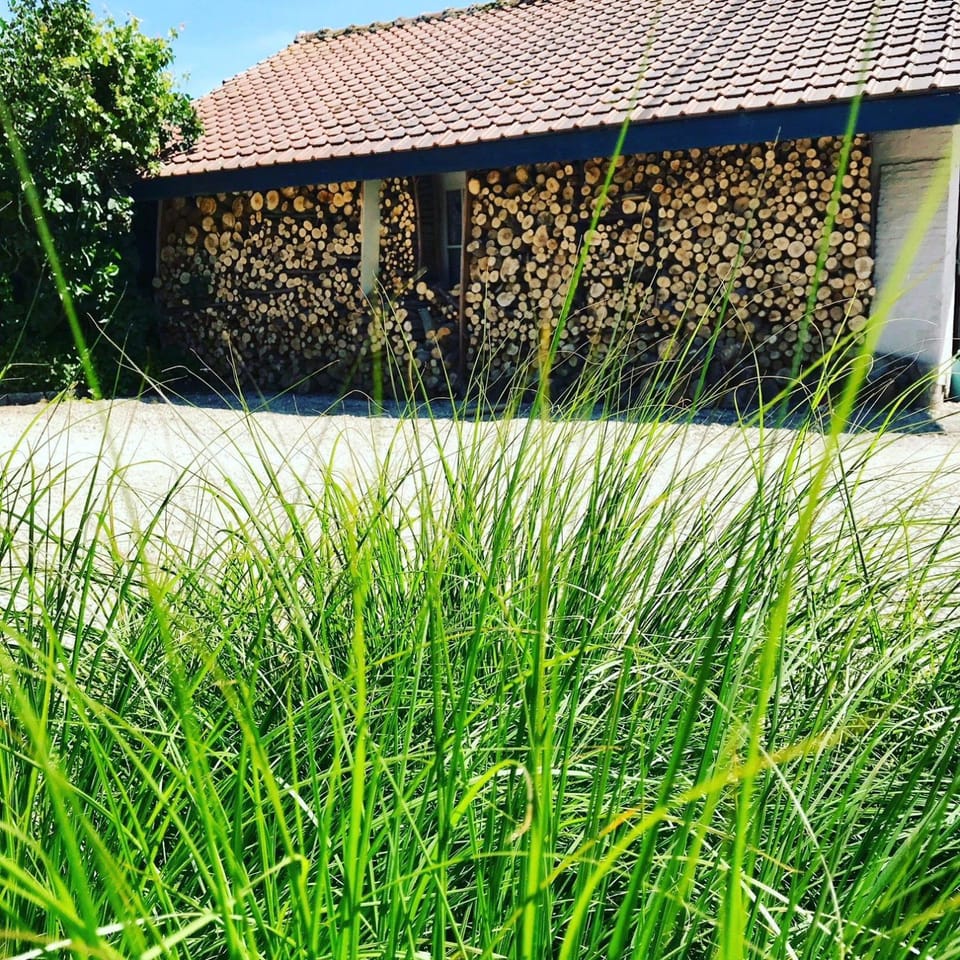 Property building, Garden view