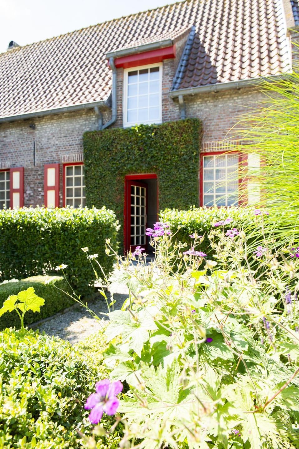 Property building, Garden, Garden view