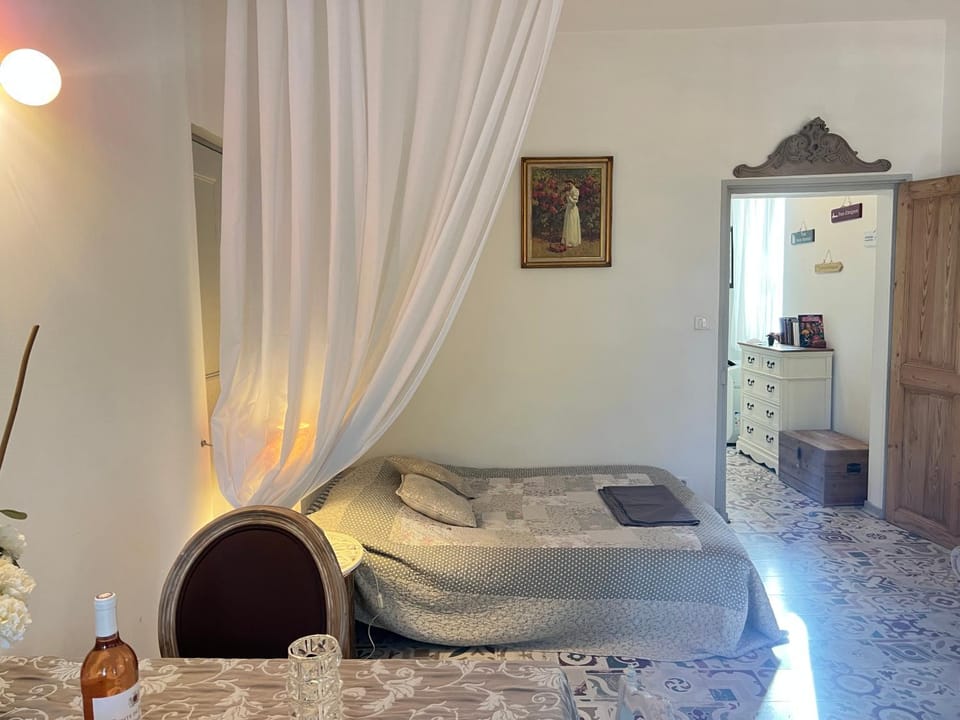 Les Coulisses de l'HORLOGE - WIFI - 50 m Palais des Papes Apartment in Avignon