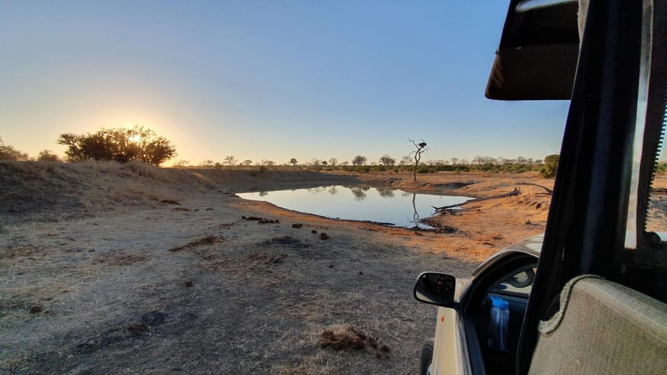 Off site, Natural landscape, Animals, Lake view, Location, Sunrise, Sunset