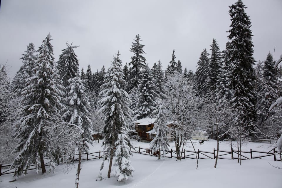 View (from property/room)