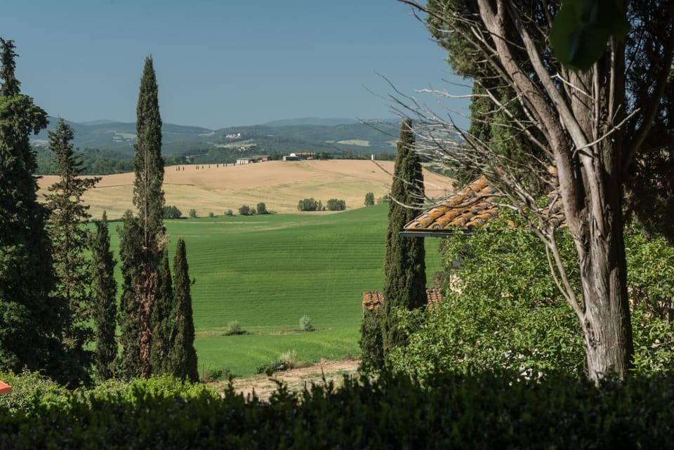 Natural landscape, Garden, Garden view