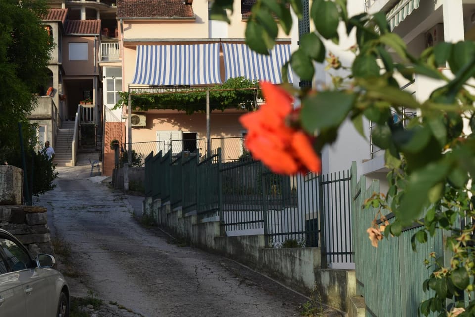 Facade/entrance, Garden view, Street view