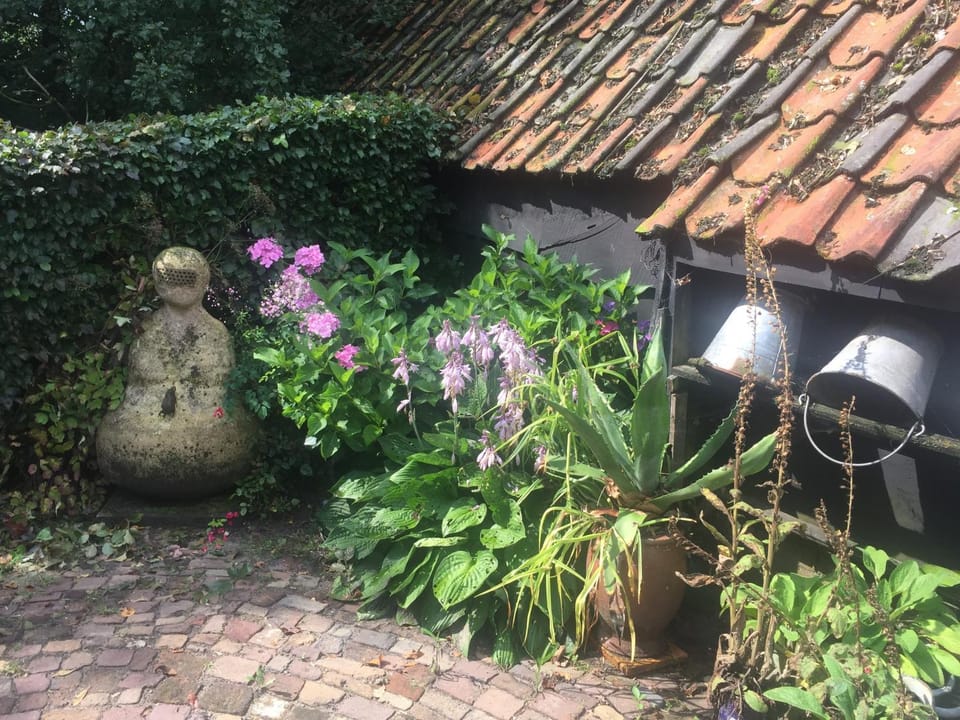 Property building, Garden