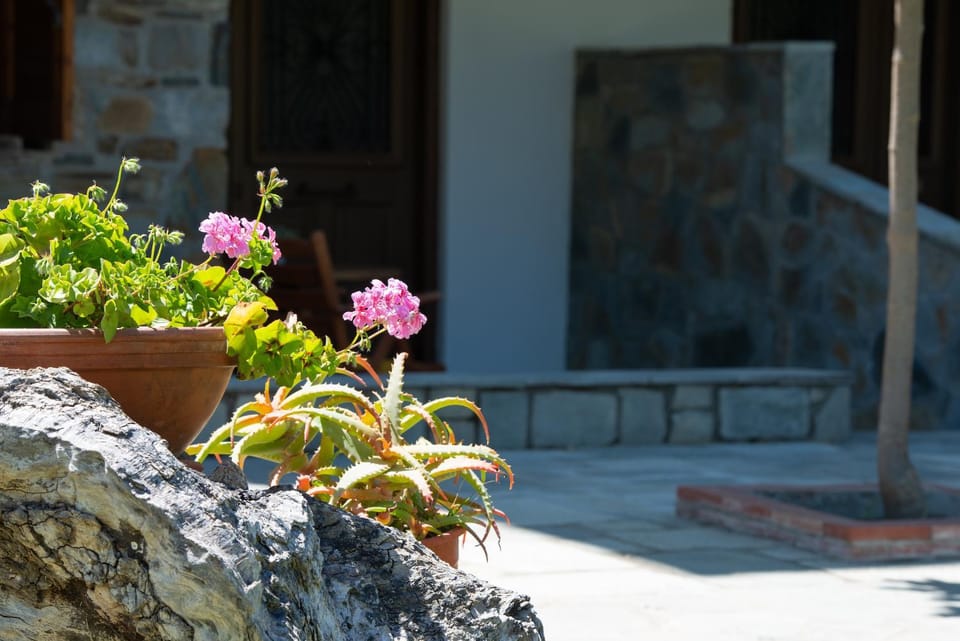 Patio, Facade/entrance