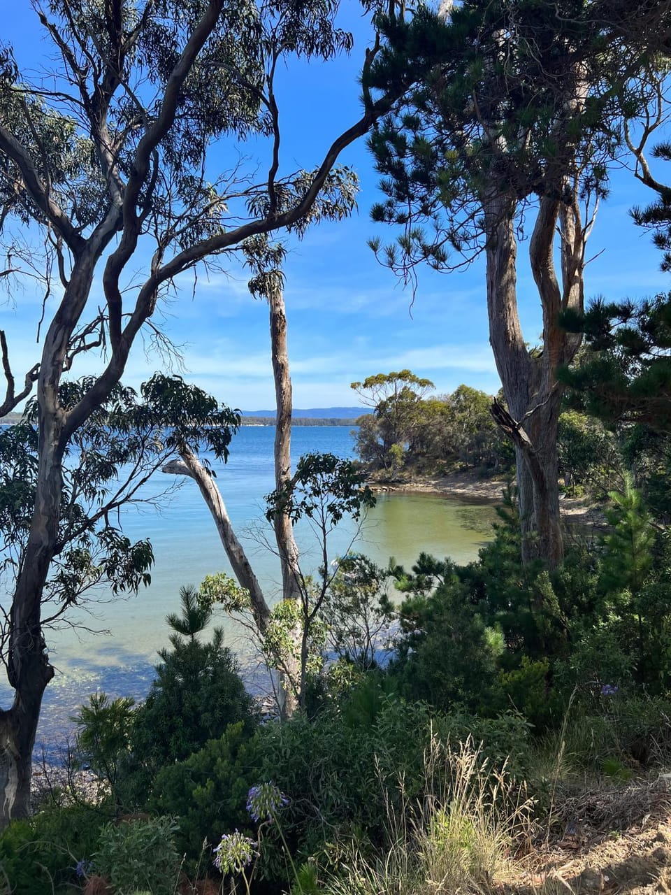 Sea view