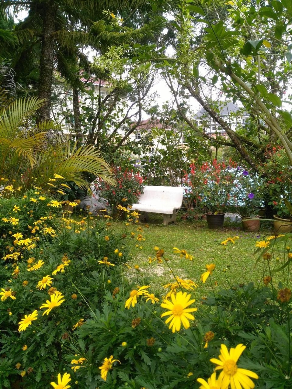 Natural landscape, Garden view