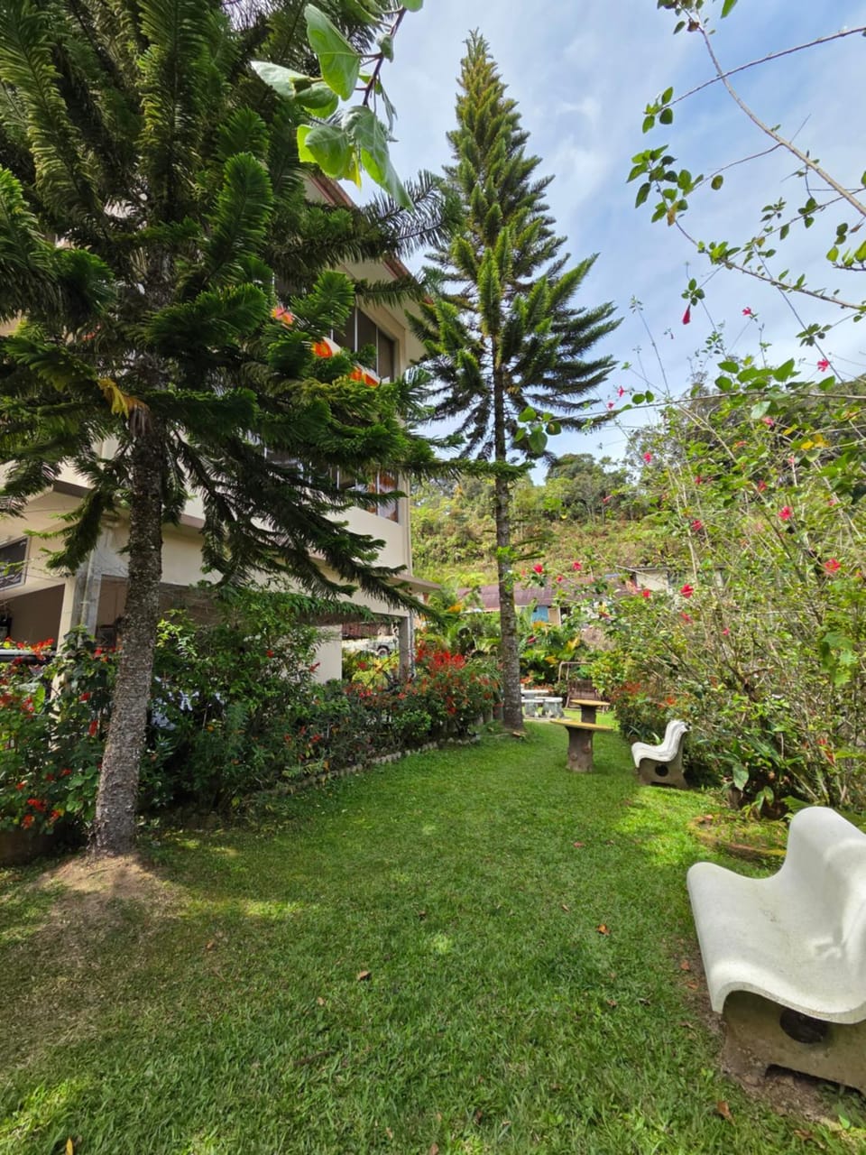 Day, Garden, Garden view