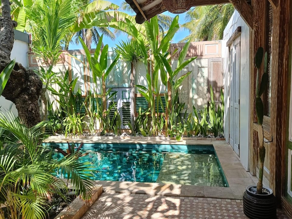 Patio, Day, Garden, Garden view, Pool view, Swimming pool