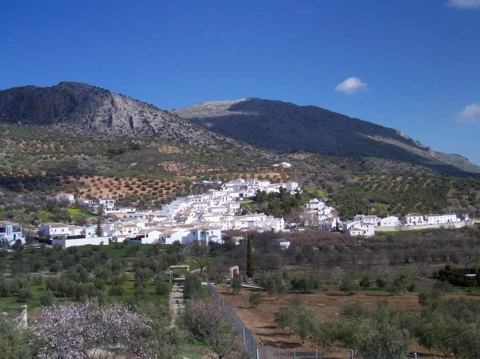 Natural landscape