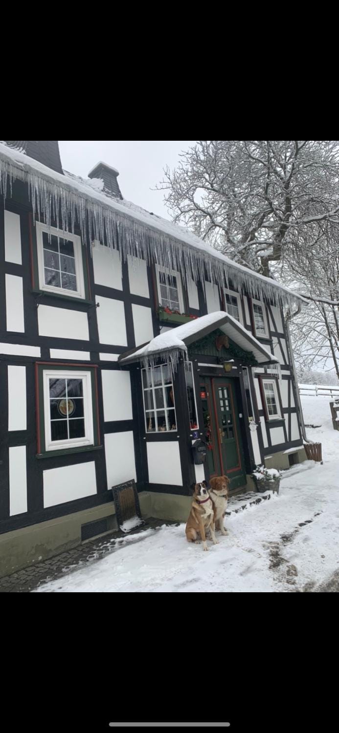 Berghof Schmitte Country House in Winterberg