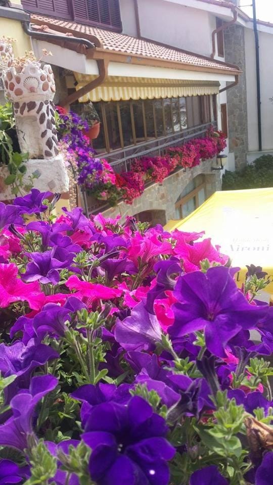 Property building, Spring, Day