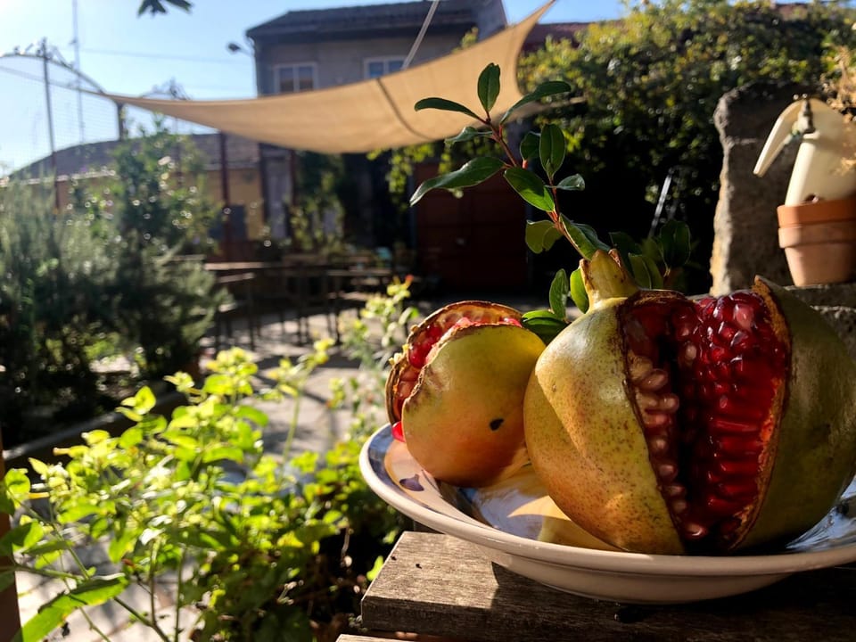 Garden, Garden view, Breakfast