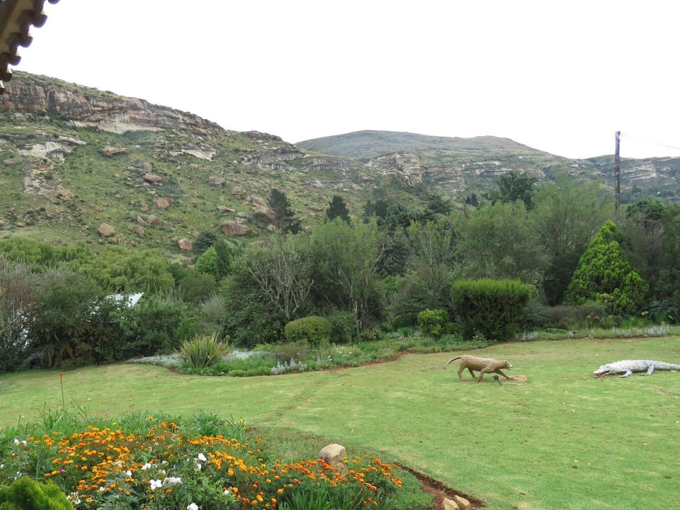 Natural landscape