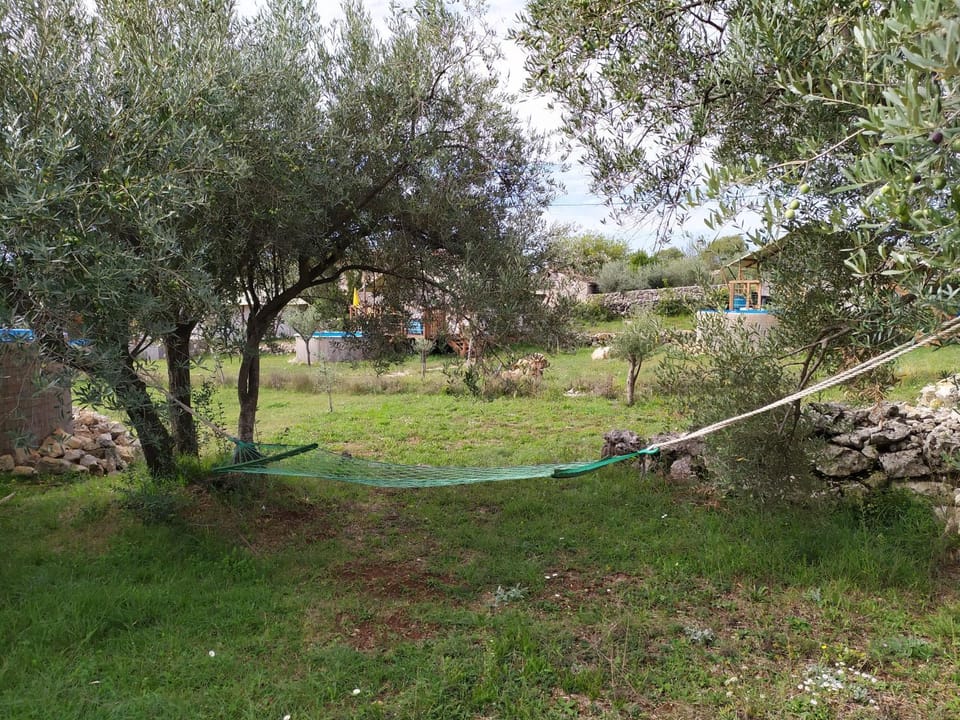 Natural landscape, Garden, Entertainment