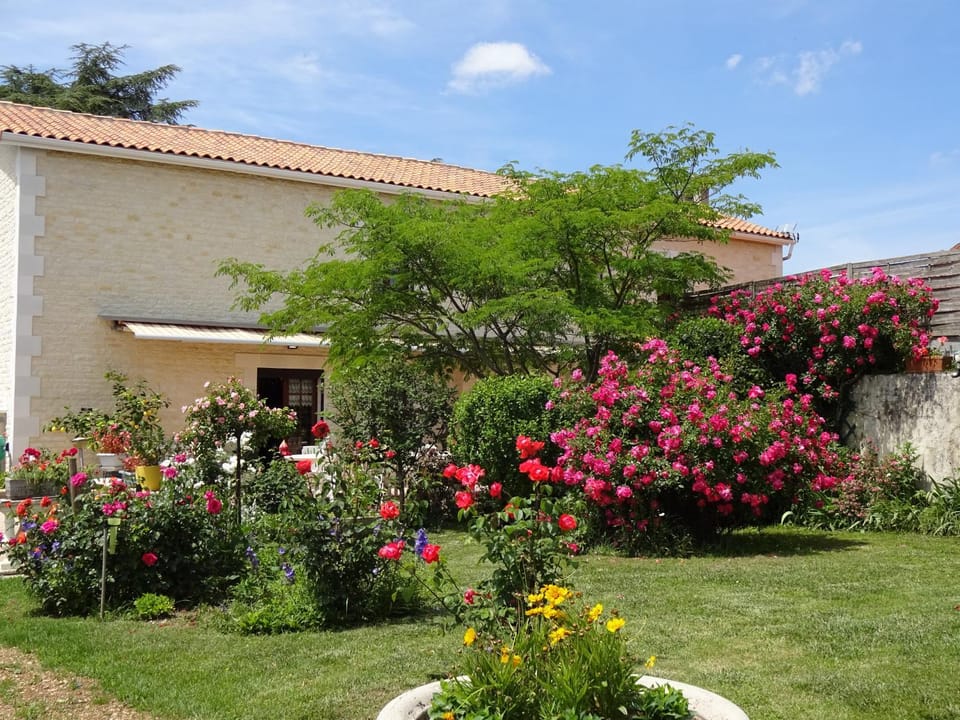 Garden, Garden, Garden view