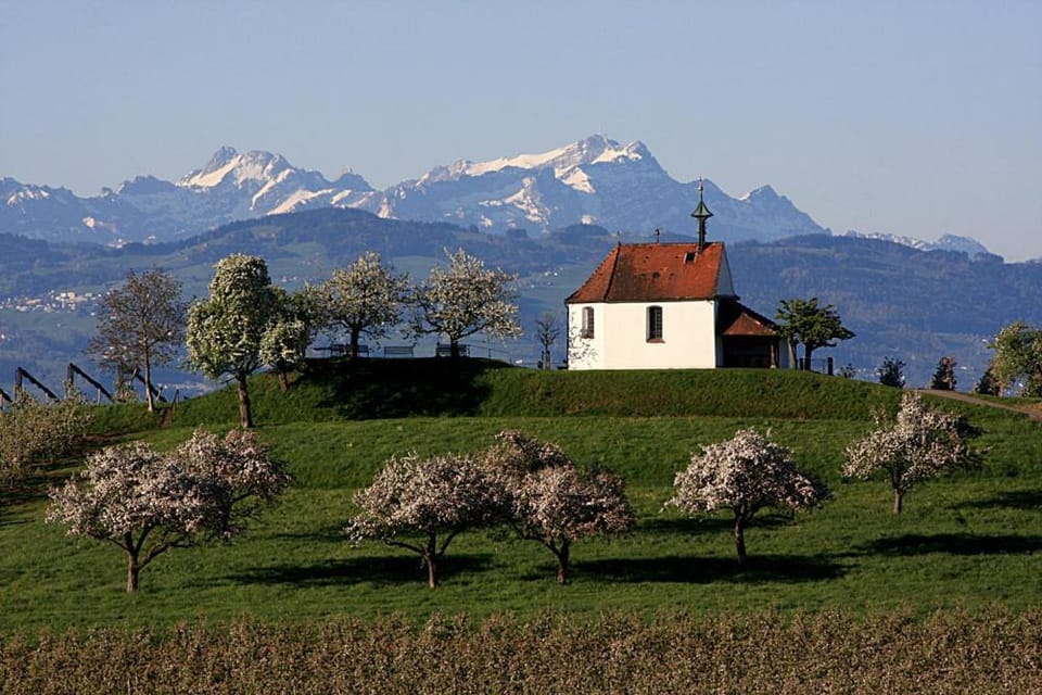 Natural landscape