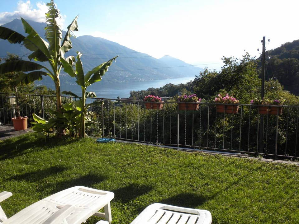 Lake view