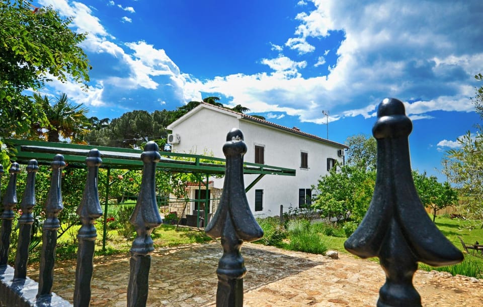 Area and facilities