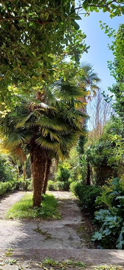 Garden, Inner courtyard view