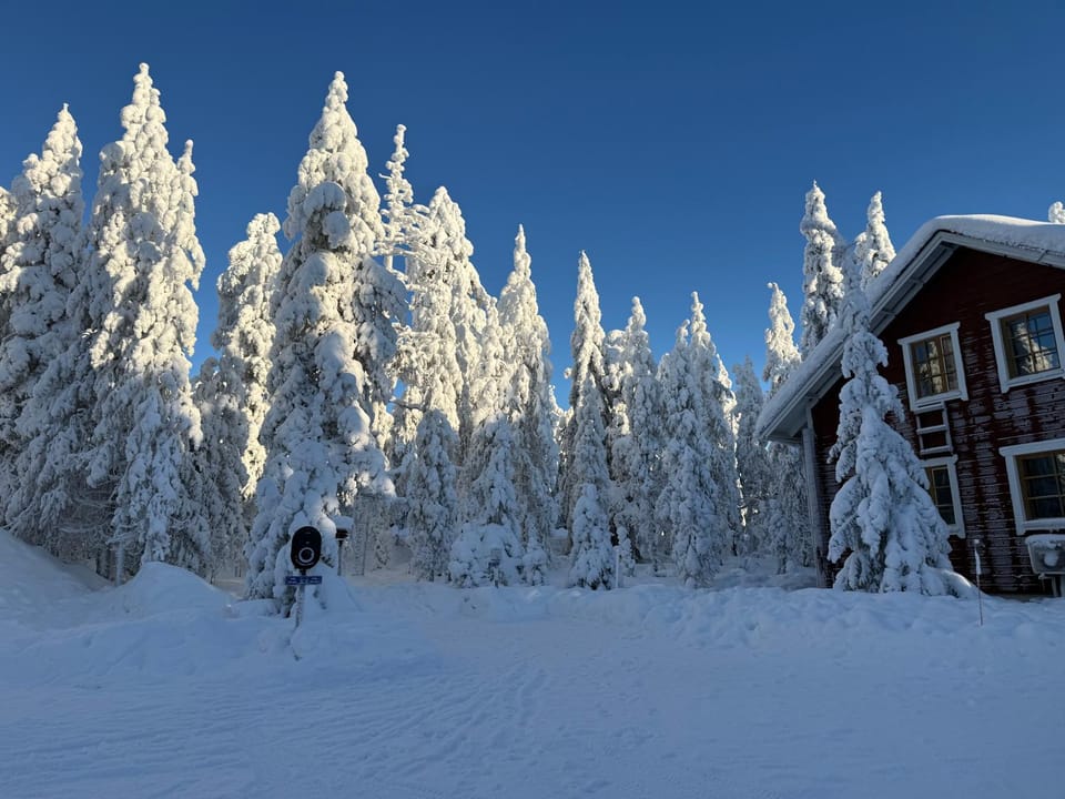 Villa Peippo House in Rovaniemi