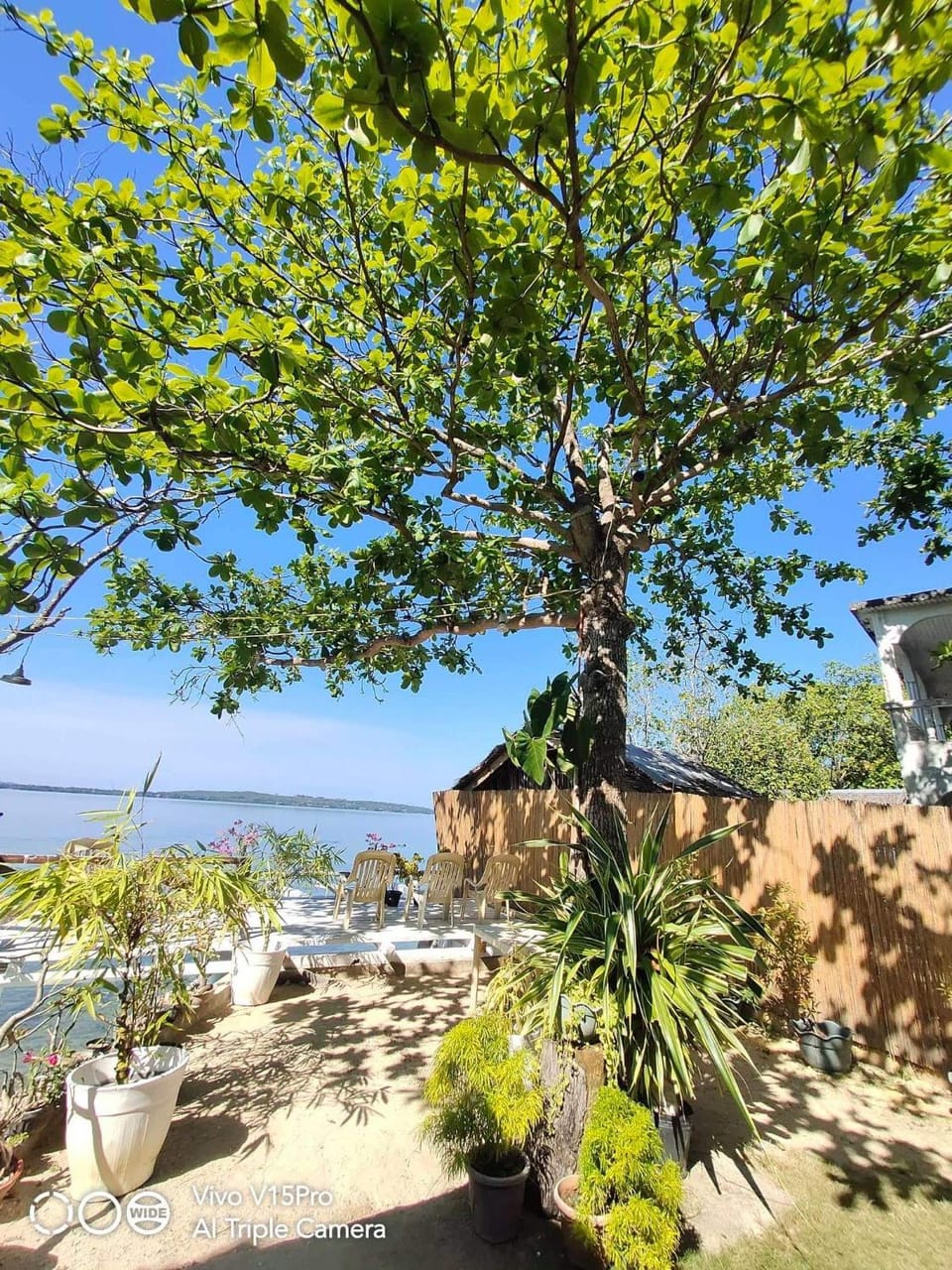 Rene's Resort Resort in Central Visayas